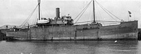 S.S. Coconino (Design 1003)