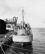 S.S. Cotteral (Design 1003)