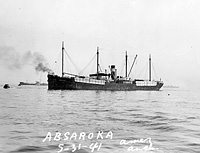S.S. Absaroka (Design 1013)