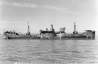 S.S. Argun, ex West Modus (Design 1013)