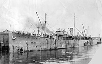 S.S. Radnor (as Design 1018)