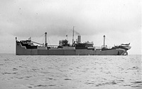 S.S. Isanti (Design 1019)