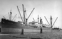 S.S. Pagasset (Design 1019)