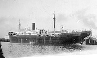 S.S. West Nivaria (Design 1019)