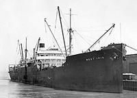 S.S. West Ivis (Design 1080)