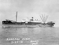 S.S. American Robin, ex Magmeric (Design 1022)