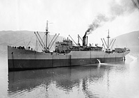 S.S. New Windsor (Design 1025)