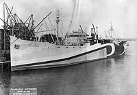 S.S. Newburgh (Design 1025)
