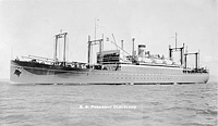 S.S. Golden State (Design 1029)