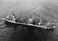 S.S. Paco ex Dartford (Design 1031)