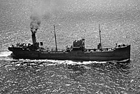 S.S. Paco ex Dartford (Design 1031)