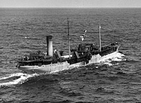 S.S. Gertrude Kellogg ex Gladysbe (Design 1031)