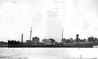 S.S. Gertrude Kellogg ex Gladysbe (Design 1031)