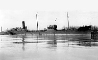 S.S. Gertrude Kellogg ex Gladysbe (Design 1031)