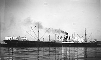 S.S. Chrysanthemum, ex Invincible