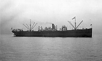 S.S. Steadfast (Design 1032)
