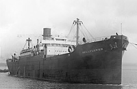 S.S. Bellflower (Design 1037)