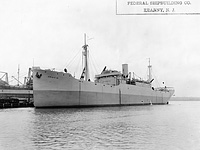 S.S. Inoco (Design 1037)