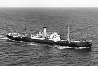 S.S. Pina Onorato, ex Mercer (Design 1037)