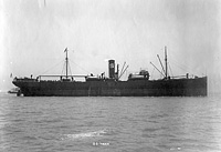 S.S. <I>Tiger</I>