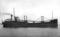 S.S. Cowboy (Design 1060)