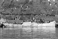 S.S. Scotia, originally Lake Galewood (Design 1074)