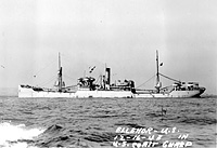 S.S. Ellenor (Design 1094)