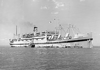 USAHS Marigold (Design 1095)