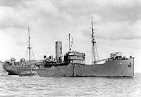 USS Delphinus