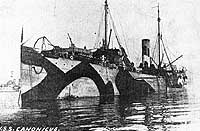 Photo # NH 85034: USS Canonicus in British waters, 1918