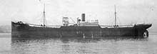 Photo # NH 102910:  S.S. West Avenal, 1919