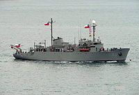 Chilean Vidal Gormaz