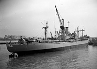 USS Antares (AK 258) in 1951