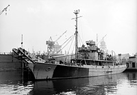 Dutch Cerberus (AN 93) on 19 September 1952
